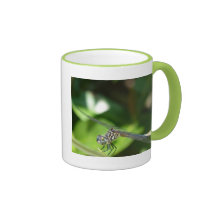 Libélula en la taza de café