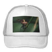 libélula gorro
