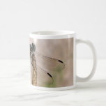 ¡Libélula! Taza De Café