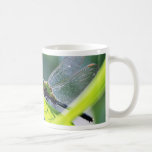 Libélula Tazas De Café