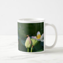 Libélula Tazas De Café