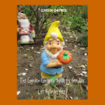 Libere los gnomos del jardín posters