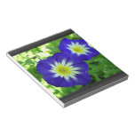 Libreta de la flor de la correhuela libretas para notas