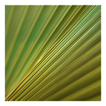 licencia fotografia