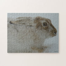 Liebres de raqueta R0011 Rompecabezas Con Fotos