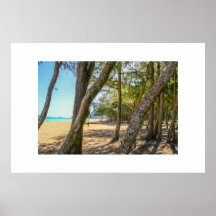 Lifes un poster de la playa