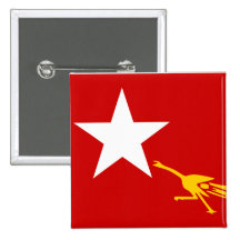 Liga nacional para la democracia, bandera de Myanm Pin