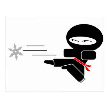 Lil Ninja Postal