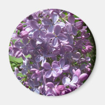 Lilas Iman De Nevera
