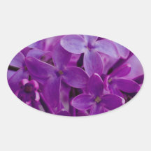 Lilas Pegatina De Oval