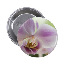 Lilien Blumen Fotografie Button
