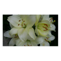 Lillies - horticultores - el ajardinar tarjetas personales