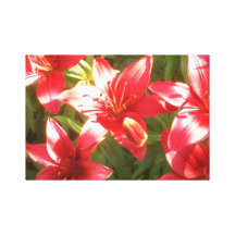 Lillies rojo en un día soleado impresión de lienzo
