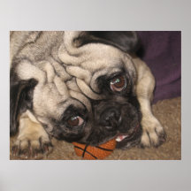 LilliPug con baloncesto Impresiones