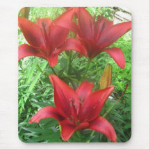 Lilly asiático rojo IMG_1031 Alfombrilla De Ratón