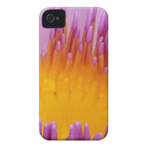 LILLY DEL AGUA Case-Mate iPhone 4 CÁRCASAS