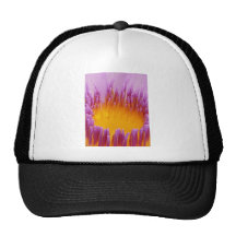 LILLY DEL AGUA GORRO