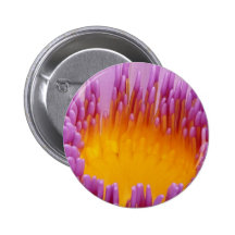 LILLY DEL AGUA PINS
