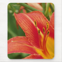 Lilly Mousepad Tapete De Ratones