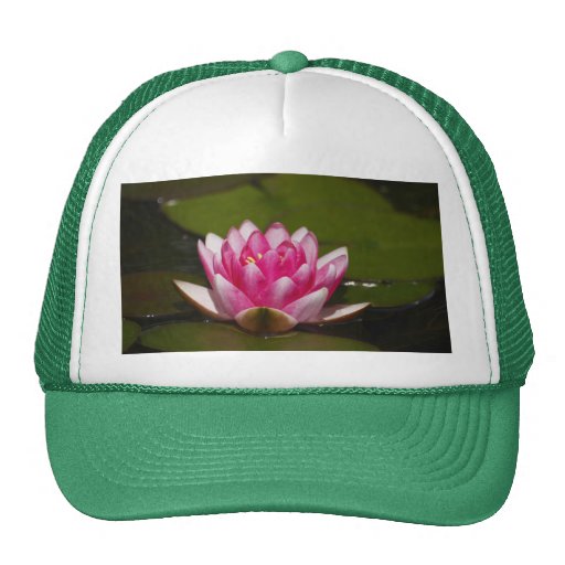 Lilly y cojines rosados de Lilly Gorra