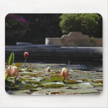 Lillypads Waterlily Tapete De Ratones