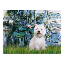 Liloies #1 - Westie 2 Postales