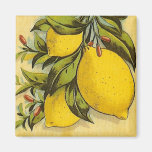 Limones deliciosos iman de nevera