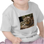 Lince canadiense 4201e camiseta