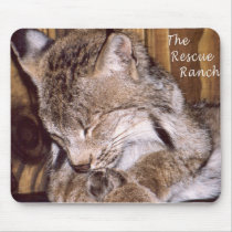 Lince canadiense alfombrillas de raton 