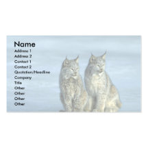 Lince de Canadá, invierno, par por la corriente he Tarjetas De Negocios