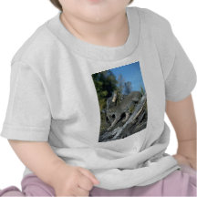Lince de Canadá, otoño Camisetas