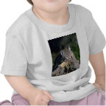 Lince eurasiático, gatito joven camiseta