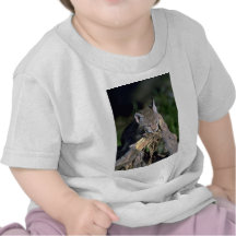 Lince eurasiático, gatito joven camiseta