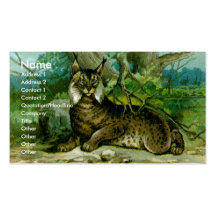 Lince europeo plantillas de tarjetas de visita