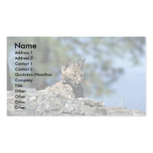 Lince-gatito Tarjeta Personal