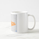 Lincon Taza