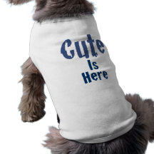 Lindo es aquí la ropa del mascota ropa de mascota