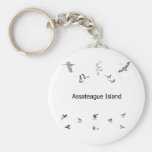 Línea Birdwatching arte de la isla de Assateague Llaveros