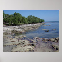 Línea de la playa de Key West - la Florida Impresiones