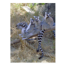 Línea postal del Lemur