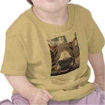 Linha Animal, Arre burriquito... Tshirt