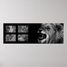 Lion maqueta 2 impresiones