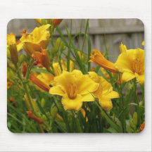 Lirio amarillo alfombrillas de raton