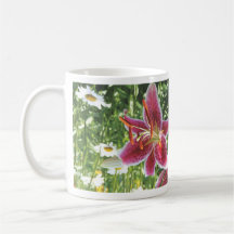 Lirio asiático, "Starburst " Taza