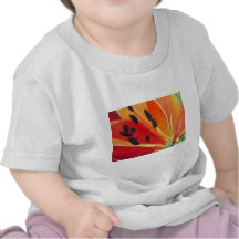 Lirio Camisetas