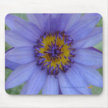 Lirio de agua azul Mousepad