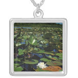 Lirio de agua del collar de Sherwood del lago