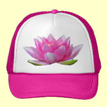 Lirio de agua gorras