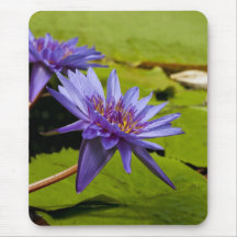 Lirio de agua Mousepad