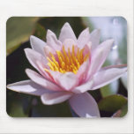 Lirio de agua resistente Mousepad